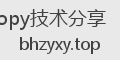 Copy技术分享