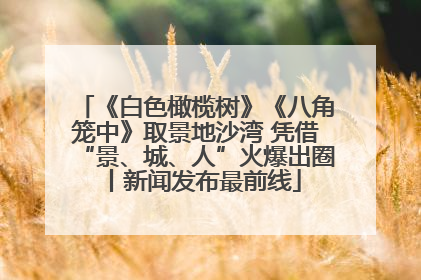 《白色橄榄树》《八角笼中》取景地沙湾 凭借“景、城、人”火爆出圈丨新闻发布最前线