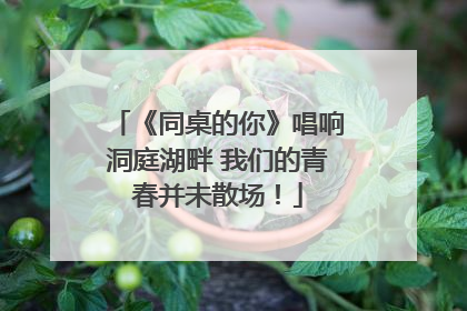《同桌的你》唱响洞庭湖畔 我们的青春并未散场！
