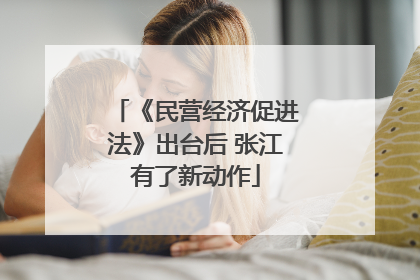 《民营经济促进法》出台后 张江有了新动作