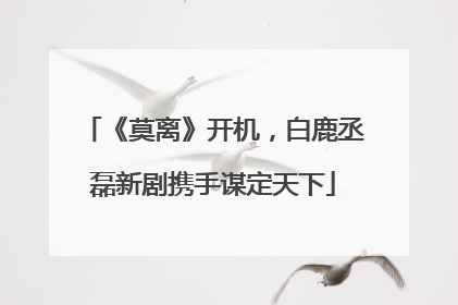 《莫离》开机，白鹿丞磊新剧携手谋定天下