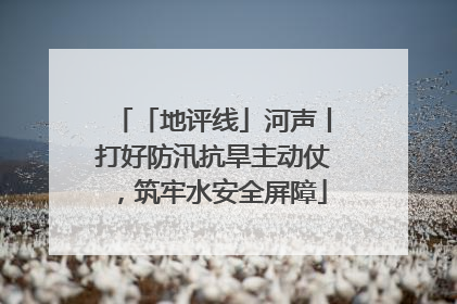 「地评线」河声丨打好防汛抗旱主动仗，筑牢水安全屏障