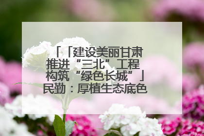 「建设美丽甘肃 推进“三北”工程 构筑“绿色长城”」民勤：厚植生态底色 筑牢绿色屏障