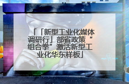 「新型工业化媒体调研行」部省政策“组合拳”激活新型工业化华东样板