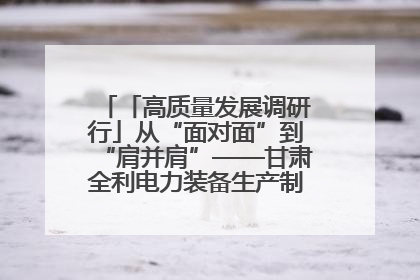 「高质量发展调研行」从“面对面”到“肩并肩”——甘肃全利电力装备生产制造项目一线见闻