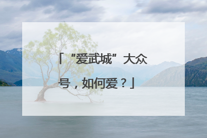“爱武城”大众号，如何爱？