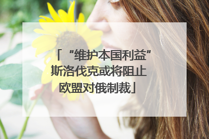 “维护本国利益” 斯洛伐克或将阻止欧盟对俄制裁