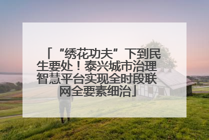 “绣花功夫”下到民生要处！泰兴城市治理智慧平台实现全时段联网全要素细治