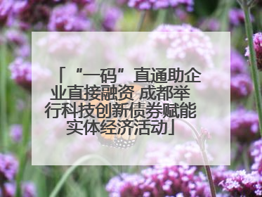“一码”直通助企业直接融资 成都举行科技创新债券赋能实体经济活动