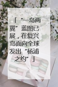 “一岛两翼”蓝图已展，在复兴岛面向全球发出“杨浦之约”