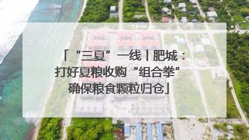“三夏”一线丨肥城：打好夏粮收购“组合拳” 确保粮食颗粒归仓