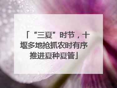 “三夏”时节，十堰多地抢抓农时有序推进夏种夏管