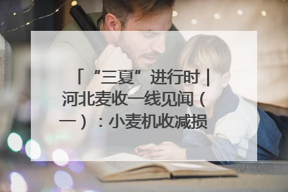 “三夏”进行时｜河北麦收一线见闻（一）：小麦机收减损“竞技” 农机高手麦田“过招”