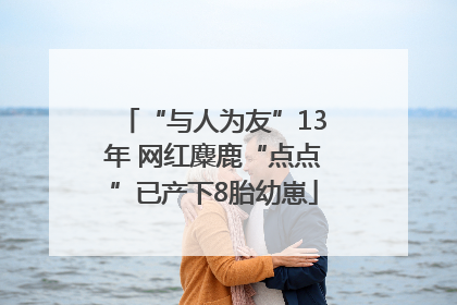“与人为友”13年 网红麋鹿“点点”已产下8胎幼崽
