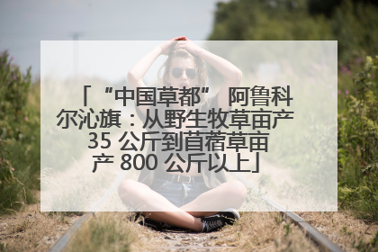 “中国草都” 阿鲁科尔沁旗：从野生牧草亩产 35 公斤到苜蓿草亩产 800 公斤以上