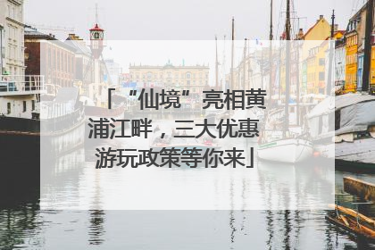 “仙境”亮相黄浦江畔，三大优惠游玩政策等你来