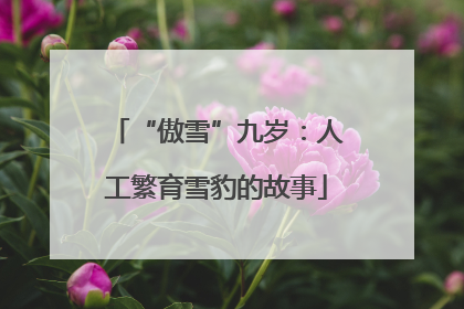 “傲雪”九岁：人工繁育雪豹的故事