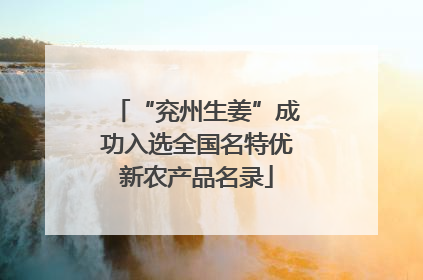 “兖州生姜”成功入选全国名特优新农产品名录