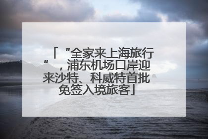 “全家来上海旅行”，浦东机场口岸迎来沙特、科威特首批免签入境旅客