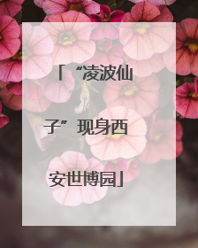 “凌波仙子”现身西安世博园
