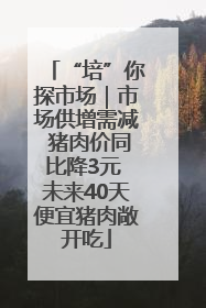 “培”你探市场｜市场供增需减 猪肉价同比降3元 未来40天便宜猪肉敞开吃