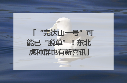 “完达山一号”可能已“脱单”！东北虎种群也有新喜讯