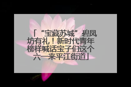 “宝藏苏城”碧凤坊有礼！新时代青年榜样喊话宝子们这个六一来平江街道