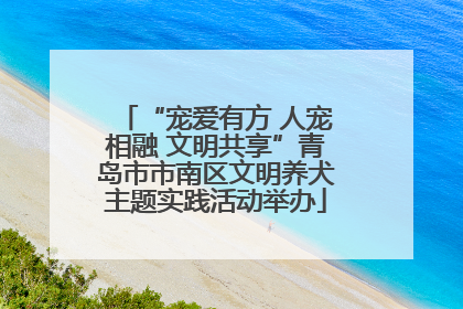 “宠爱有方 人宠相融 文明共享”青岛市市南区文明养犬主题实践活动举办