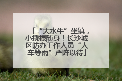 “大水牛”坐镇，小撬棍随身！长沙城区防办工作人员“人车等雨”严阵以待