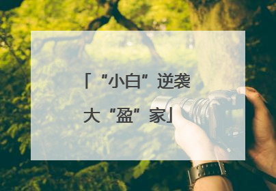 “小白”逆袭大“盈”家