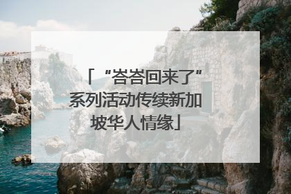 “峇峇回来了”系列活动传续新加坡华人情缘