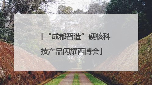 “成都智造”硬核科技产品闪耀西博会