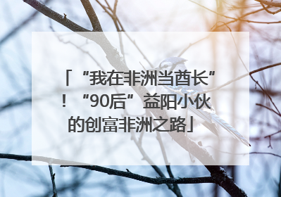 “我在非洲当酋长”！“90后”益阳小伙的创富非洲之路