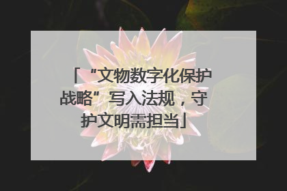 “文物数字化保护战略”写入法规，守护文明需担当