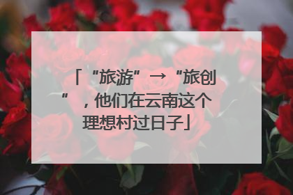 “旅游”→“旅创”，他们在云南这个理想村过日子