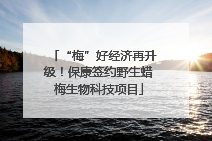 “梅”好经济再升级！保康签约野生蜡梅生物科技项目