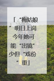 “梅姑娘”明日上岗 今年她可能“出镜”少但“戏份”重