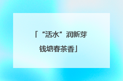 “活水”润新芽 钱塘春茶香