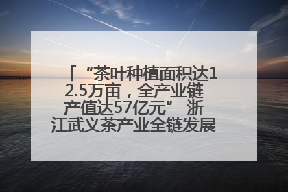 “茶叶种植面积达12.5万亩，全产业链产值达57亿元” 浙江武义茶产业全链发展“加速度”