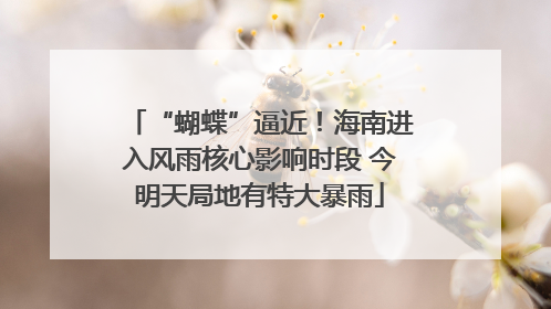 “蝴蝶”逼近！海南进入风雨核心影响时段 今明天局地有特大暴雨