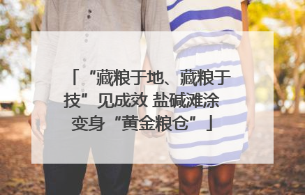 “藏粮于地、藏粮于技”见成效 盐碱滩涂变身“黄金粮仓”
