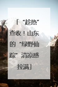 “趁热”查收！山东的“绿野仙踪”清凉感拉满