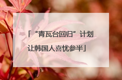 “青瓦台回归”计划让韩国人喜忧参半