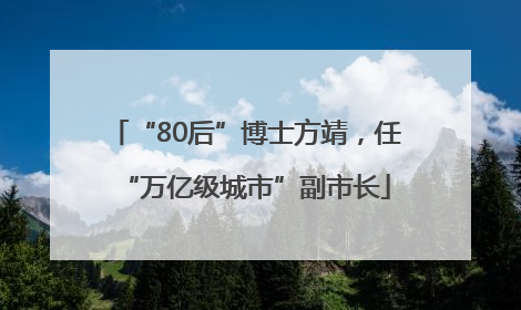 “80后”博士方靖，任“万亿级城市”副市长