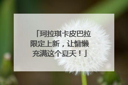 珂拉琪卡皮巴拉限定上新，让慵懒充满这个夏天！