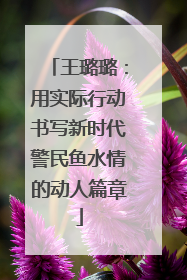 王璐璐：用实际行动书写新时代警民鱼水情的动人篇章