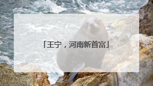 王宁，河南新首富