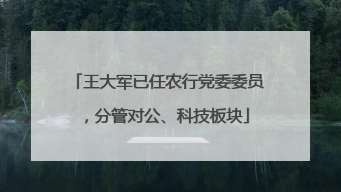 王大军已任农行党委委员，分管对公、科技板块