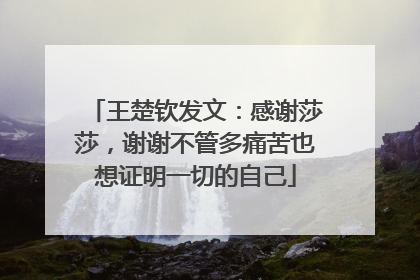 王楚钦发文：感谢莎莎，谢谢不管多痛苦也想证明一切的自己