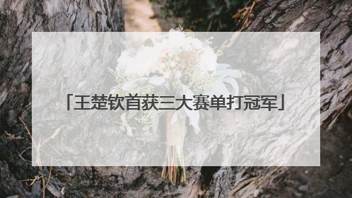 王楚钦首获三大赛单打冠军